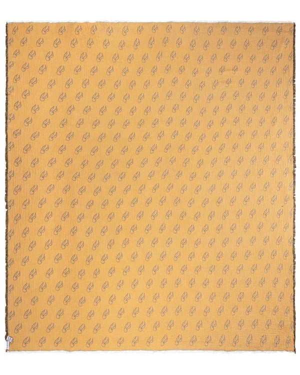 Golden Snitch? - PARTY BLANKET?