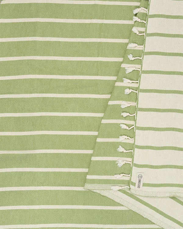 Micro Set Stripe - Fern