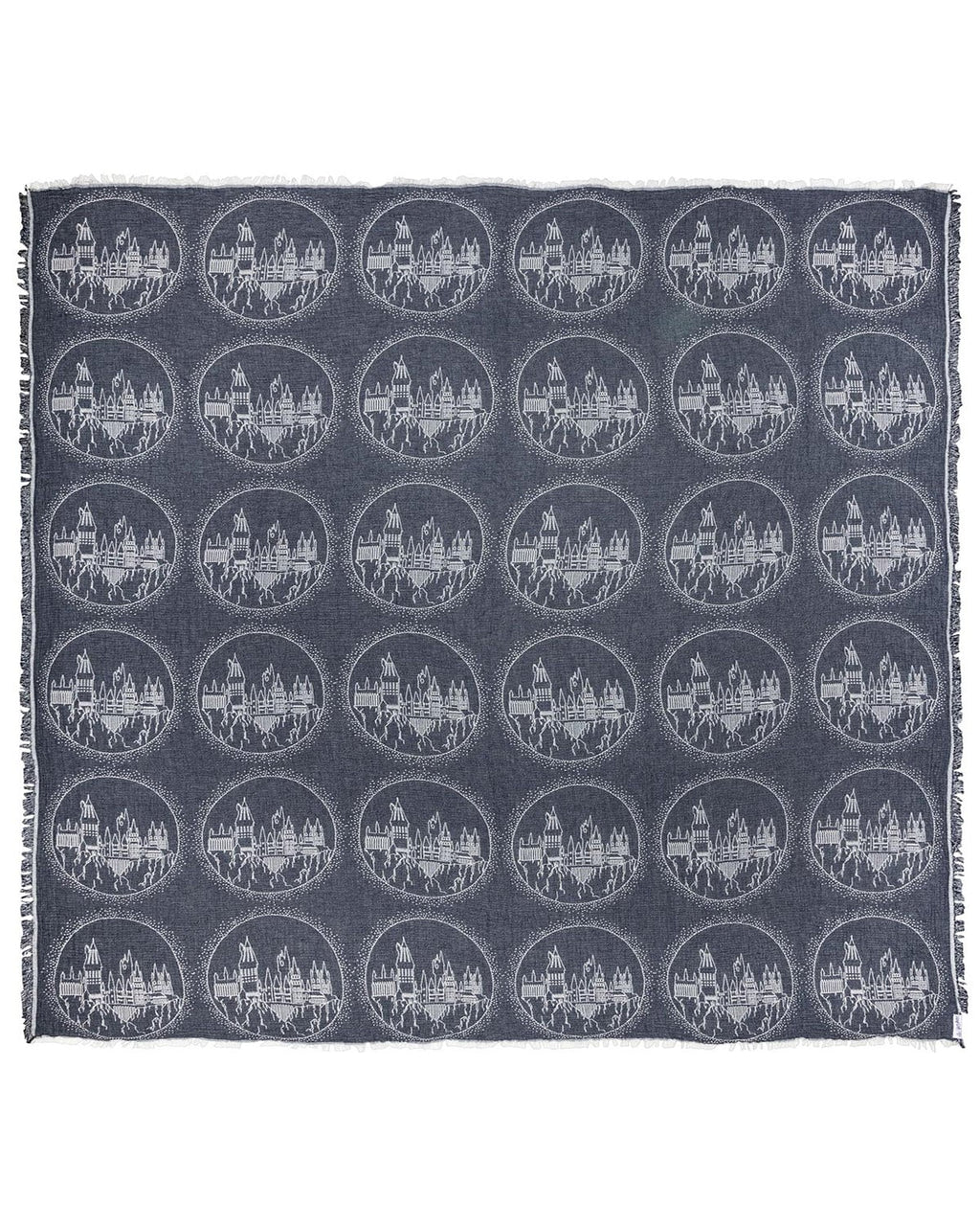 Hogwarts? Castle - PARTY BLANKET?