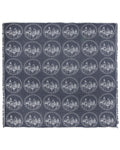 Hogwarts? Castle - PARTY BLANKET?