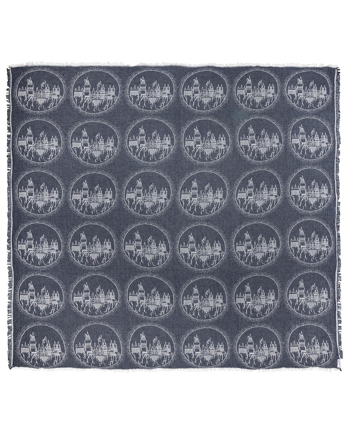 Hogwarts? Castle - PARTY BLANKET?