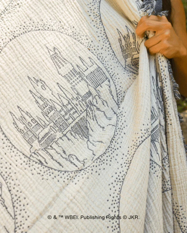 Hogwarts? Castle - PARTY BLANKET?