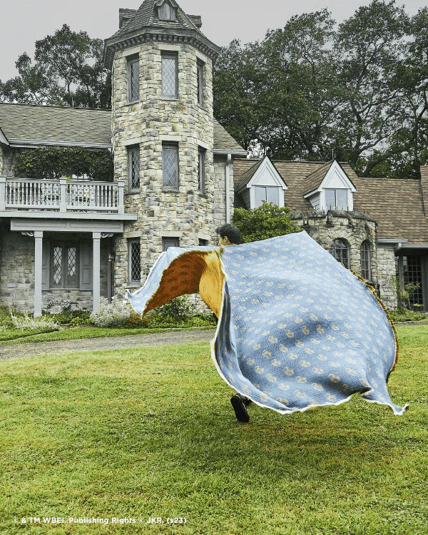 Golden Snitch? - PARTY BLANKET?