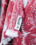Magical Creatures - PARTY BLANKET?