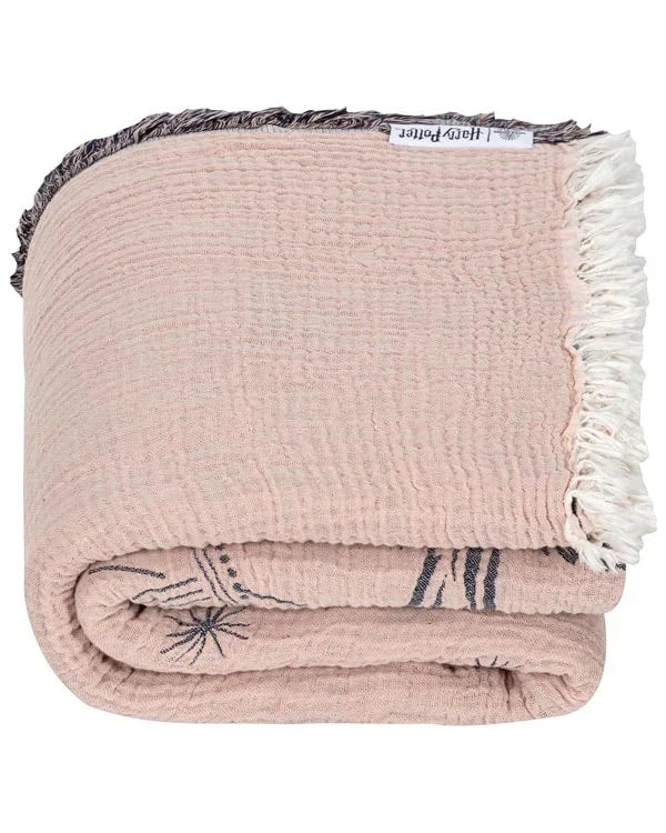 Hogwarts? - PARTY BLANKET?