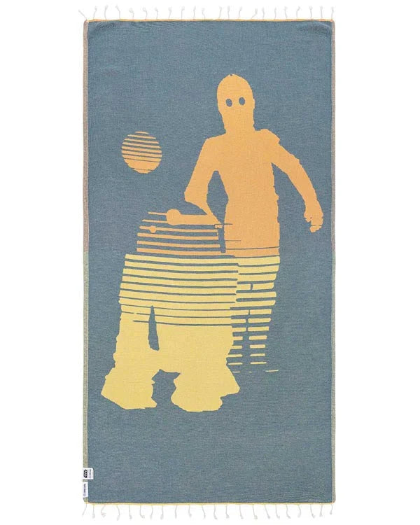 STAR WARS? - Droids C-3PO? & R2-D2?