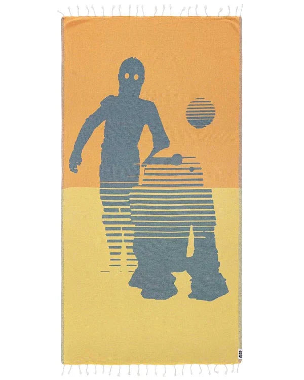 STAR WARS? - Droids C-3PO? & R2-D2?