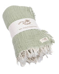 Little Fishies Gauze Receiving Blanket - Sage
