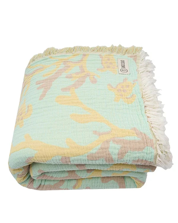 Ajax Reef - PARTY BLANKET?