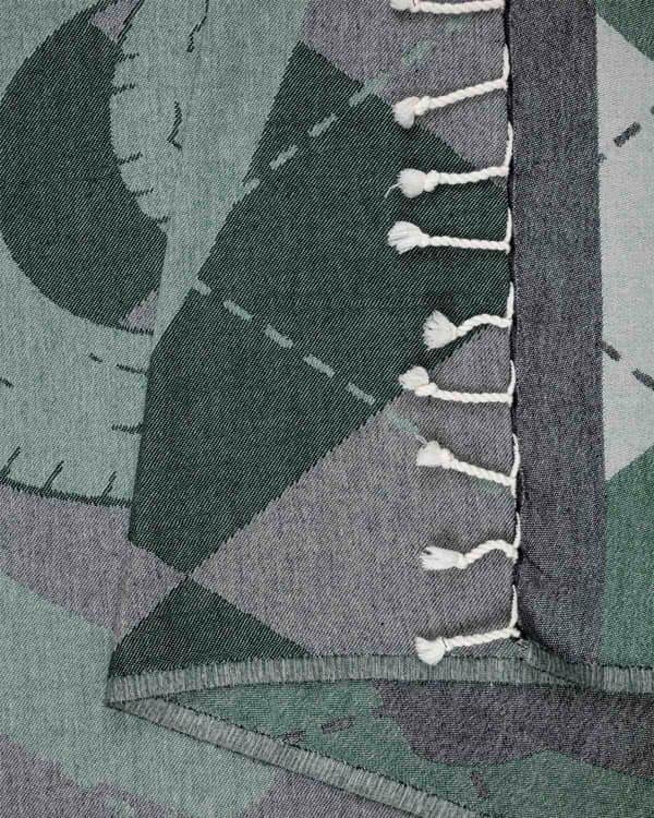 Slytherin? Towel