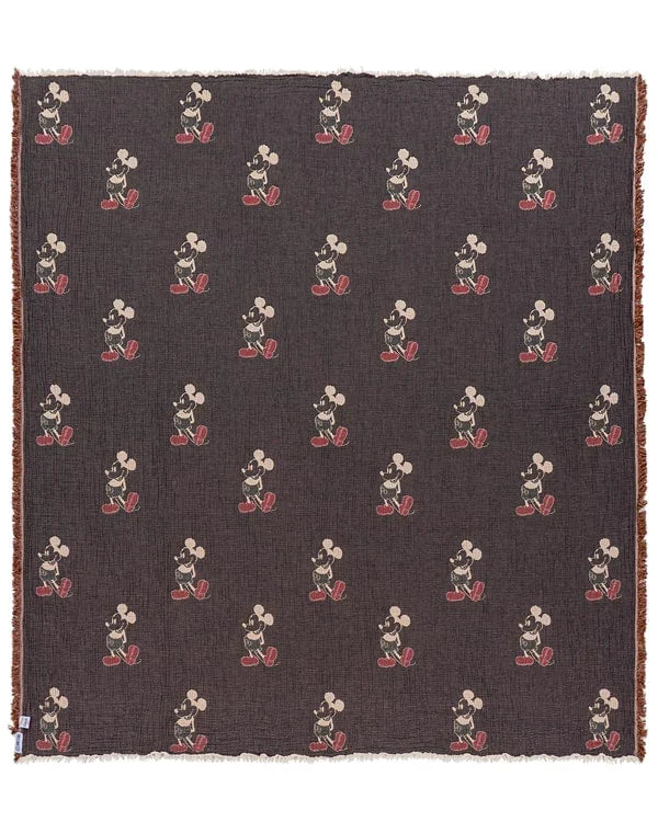 Disney Mickey Mouse PARTY BLANKET?
