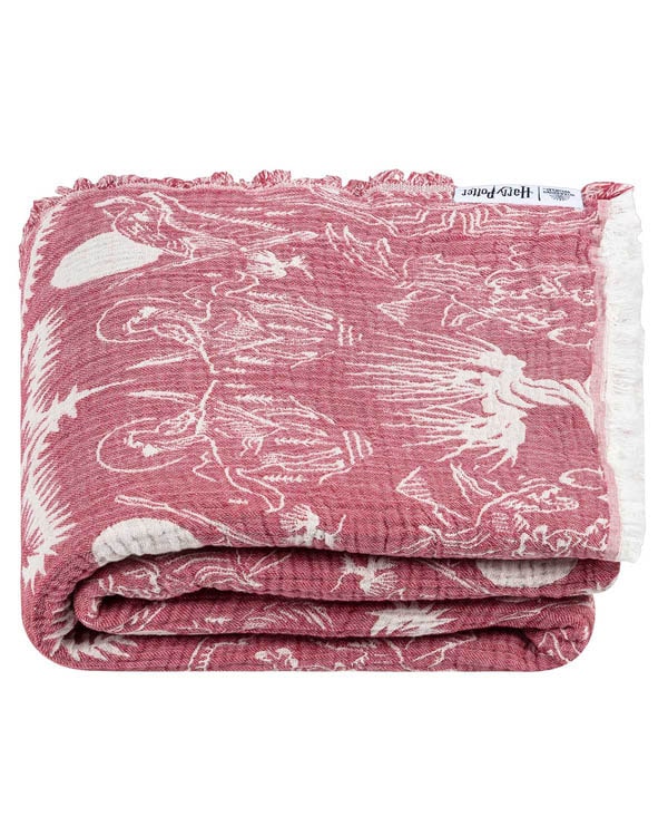 Magical Creatures - PARTY BLANKET?
