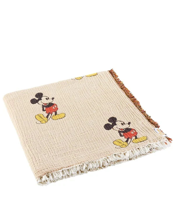 Disney Mickey Mouse PARTY BLANKET?