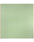 Turtle Shell - PARTY BLANKET?