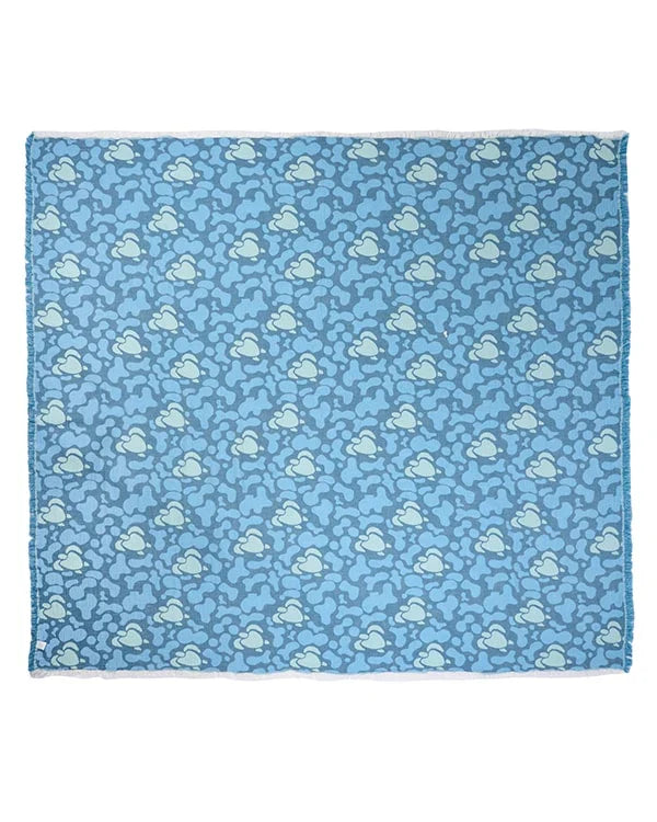 Camo Turtles PARTY BLANKET??