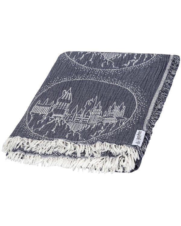 Hogwarts? Castle - PARTY BLANKET?