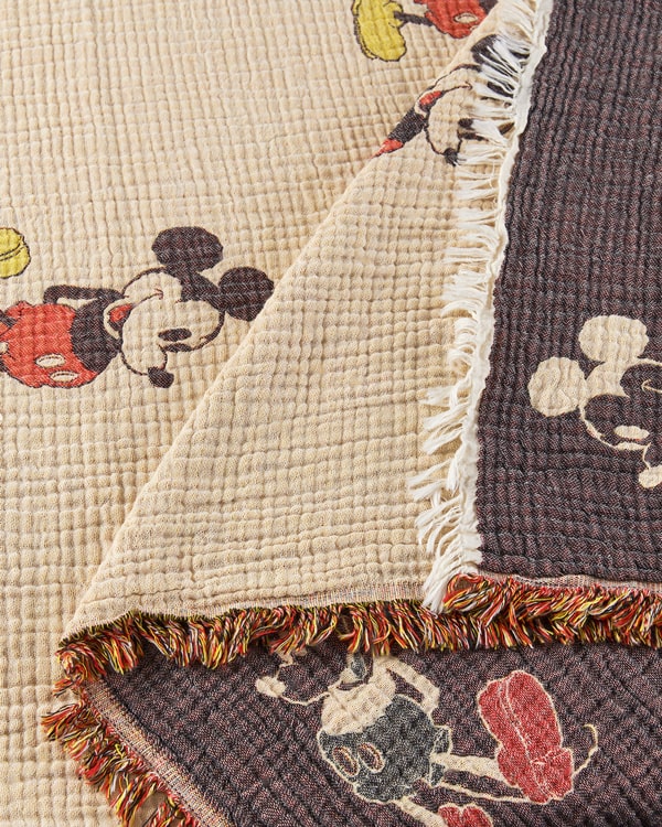 Disney Mickey Mouse PARTY BLANKET?
