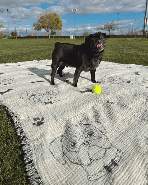 Pug - PARTY BLANKET?