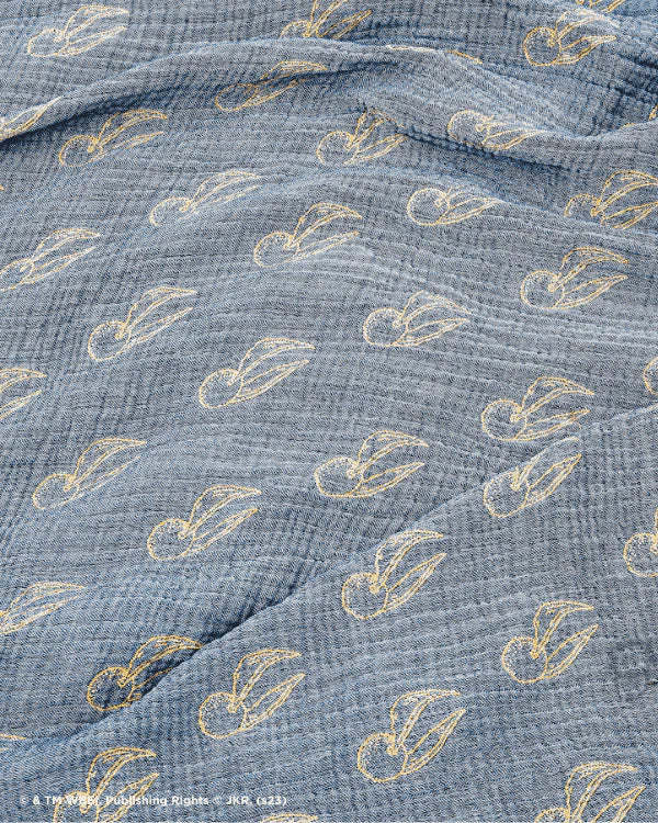 Golden Snitch? - PARTY BLANKET?