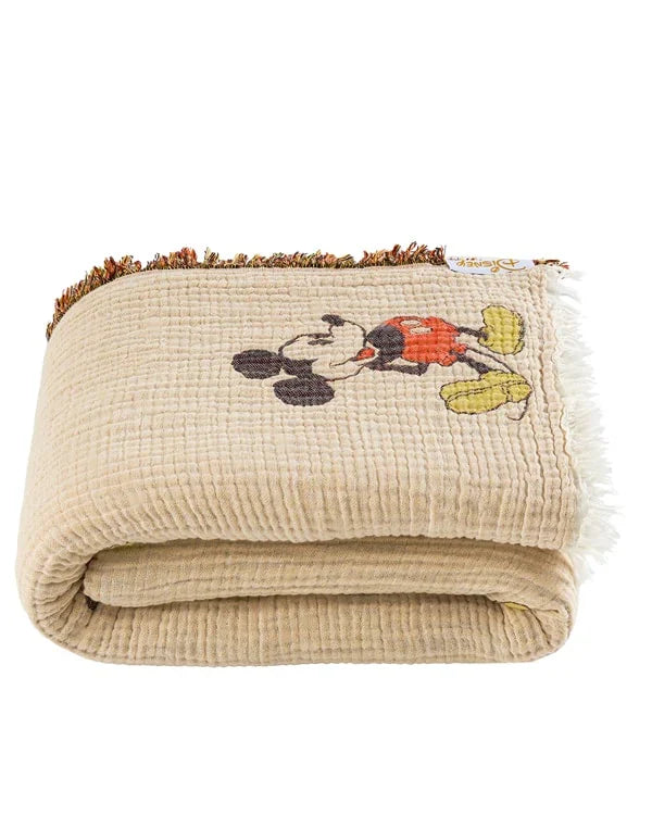 Disney Mickey Mouse PARTY BLANKET?