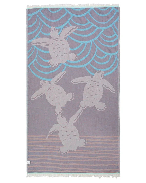 Baby Turtle Kemp's