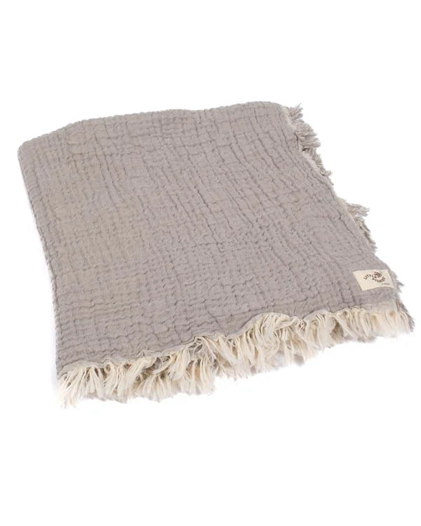 Little Fishies Gauze Receiving Blanket - Grey