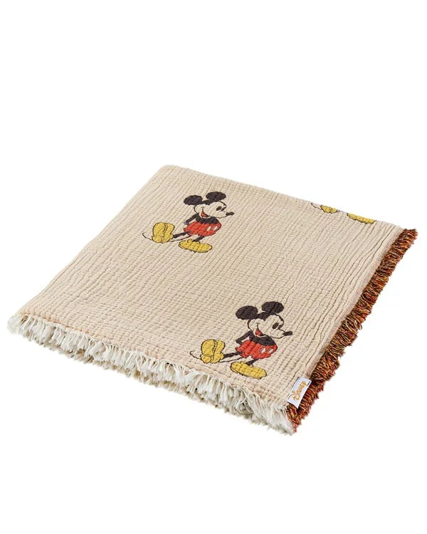 Disney Mickey Mouse PARTY BLANKET?