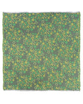 St Paddy's Day - PARTY BLANKET?